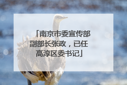 南京市委宣传部副部长张政，已任高淳区委书记