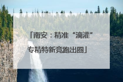 南安：精准“滴灌”专精特新竞跑出圈