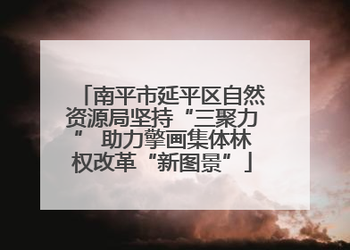 南平市延平区自然资源局坚持“三聚力” 助力擎画集体林权改革“新图景”
