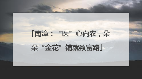 南漳：“医”心向农，朵朵“金花”铺就致富路