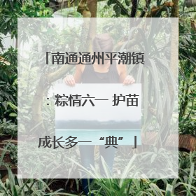 南通通州平潮镇：粽情六一 护苗成长多一“典”