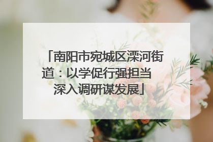 南阳市宛城区溧河街道：以学促行强担当 深入调研谋发展