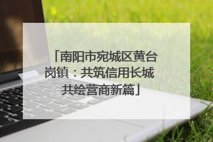 南阳市宛城区黄台岗镇：共筑信用长城 共绘营商新篇