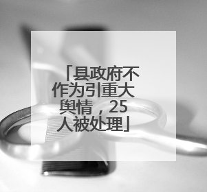 县政府不作为引重大舆情，25人被处理