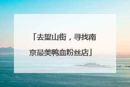 去望山街，寻找南京最美鸭血粉丝店