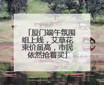 厦门端午氛围组上线，艾草花束价虽高，市民依然抢着买