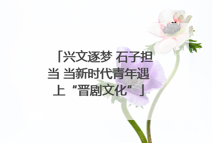 兴文逐梦 石子担当 当新时代青年遇上“晋剧文化”