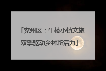 兖州区：牛楼小镇文旅双擎驱动乡村新活力