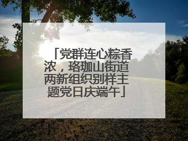 党群连心粽香浓，珞珈山街道两新组织别样主题党日庆端午