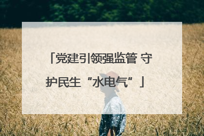 党建引领强监管 守护民生“水电气”