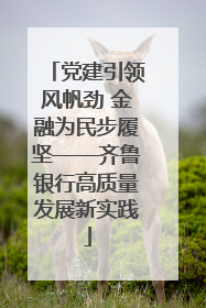 党建引领风帆劲 金融为民步履坚——齐鲁银行高质量发展新实践