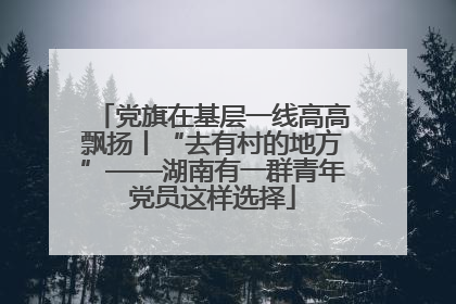 党旗在基层一线高高飘扬丨“去有村的地方”——湖南有一群青年党员这样选择