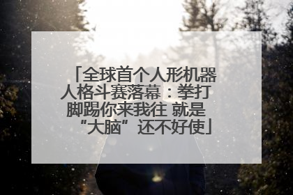 全球首个人形机器人格斗赛落幕：拳打脚踢你来我往 就是“大脑”还不好使