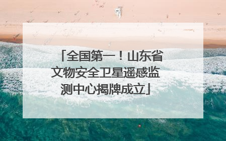 全国第一！山东省文物安全卫星遥感监测中心揭牌成立