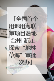 全国首个用地用海联审项目落地台州 浙江探索“地林草海”审批一次办