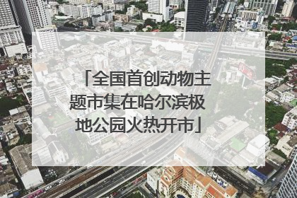 全国首创动物主题市集在哈尔滨极地公园火热开市