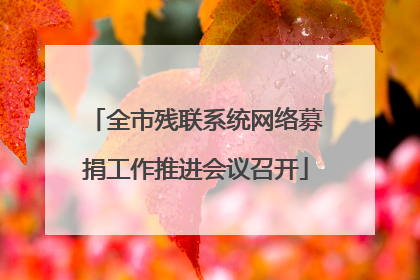 全市残联系统网络募捐工作推进会议召开