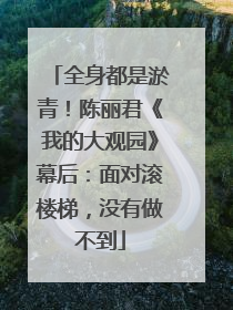 全身都是淤青！陈丽君《我的大观园》幕后：面对滚楼梯，没有做不到