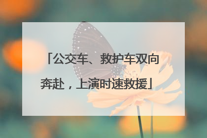 公交车、救护车双向奔赴，上演时速救援
