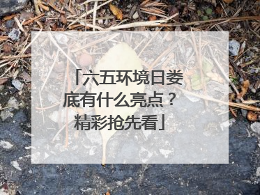 六五环境日娄底有什么亮点？精彩抢先看