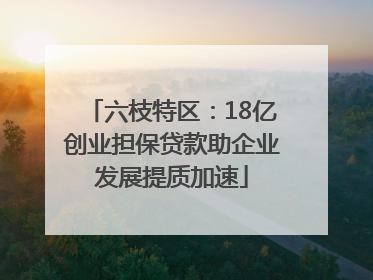 六枝特区：18亿创业担保贷款助企业发展提质加速