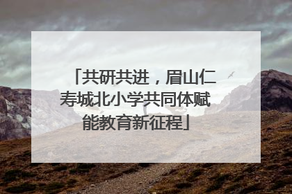共研共进，眉山仁寿城北小学共同体赋能教育新征程