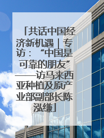 共话中国经济新机遇｜专访：“中国是可靠的朋友”——访马来西亚种植及原产业部副部长陈泓缣