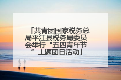 共青团国家税务总局平江县税务局委员会举行“五四青年节”主题团日活动
