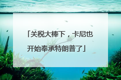 关税大棒下，卡尼也开始奉承特朗普了