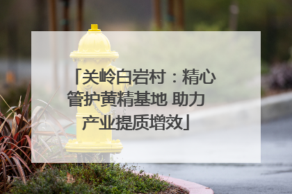 关岭白岩村：精心管护黄精基地 助力产业提质增效