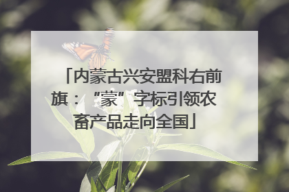 内蒙古兴安盟科右前旗：“蒙”字标引领农畜产品走向全国