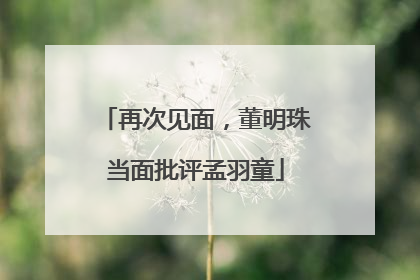 再次见面，董明珠当面批评孟羽童