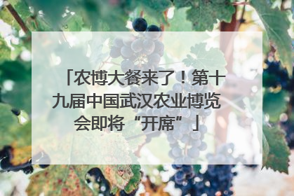 农博大餐来了！第十九届中国武汉农业博览会即将“开席”