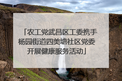 农工党武昌区工委携手杨园街道四美塘社区党委开展健康服务活动