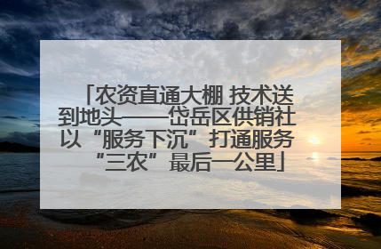 农资直通大棚 技术送到地头——岱岳区供销社以“服务下沉”打通服务“三农”最后一公里