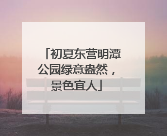 初夏东营明潭公园绿意盎然，景色宜人