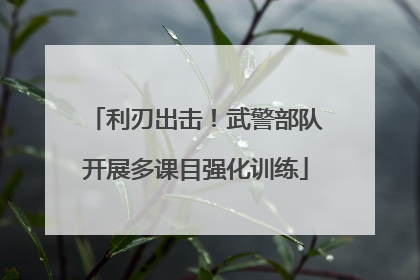 利刃出击！武警部队开展多课目强化训练