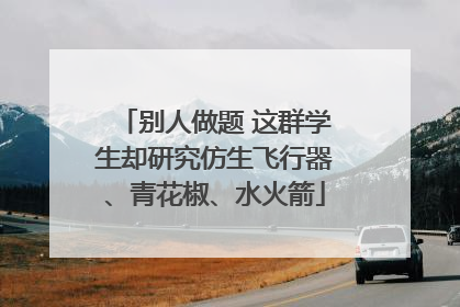 别人做题 这群学生却研究仿生飞行器、青花椒、水火箭