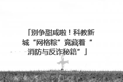 别争甜咸啦！科教新城“网格粽”竟藏着“消防与反诈秘籍”