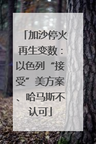 加沙停火再生变数：以色列“接受”美方案、哈马斯不认可