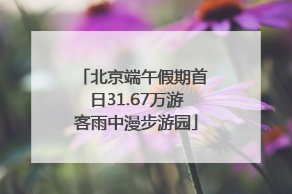 北京端午假期首日31.67万游客雨中漫步游园