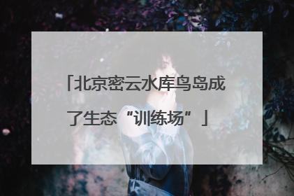 北京密云水库鸟岛成了生态“训练场”