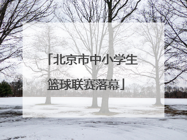 北京市中小学生篮球联赛落幕