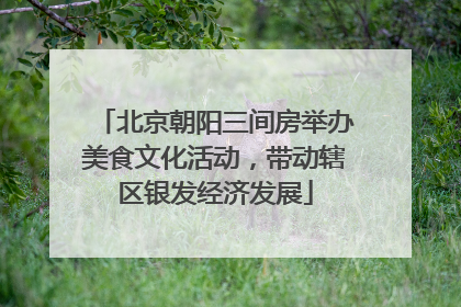 北京朝阳三间房举办美食文化活动，带动辖区银发经济发展