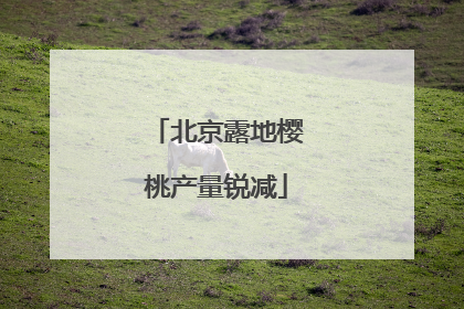 北京露地樱桃产量锐减