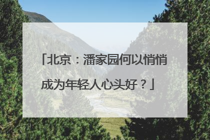 北京：潘家园何以悄悄成为年轻人心头好？