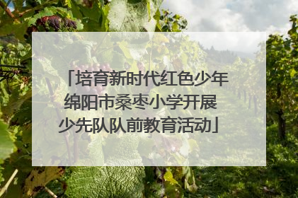 培育新时代红色少年 绵阳市桑枣小学开展少先队队前教育活动