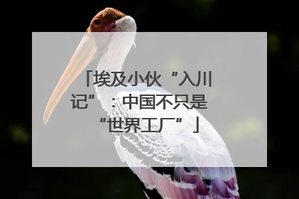 埃及小伙“入川记”：中国不只是“世界工厂”