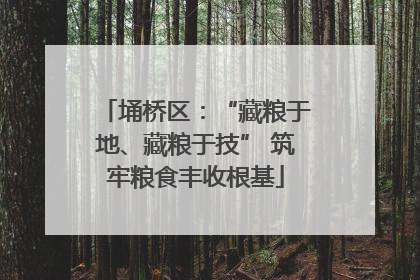 埇桥区：“藏粮于地、藏粮于技” 筑牢粮食丰收根基