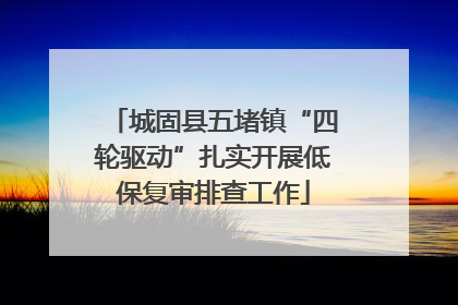 城固县五堵镇“四轮驱动”扎实开展低保复审排查工作